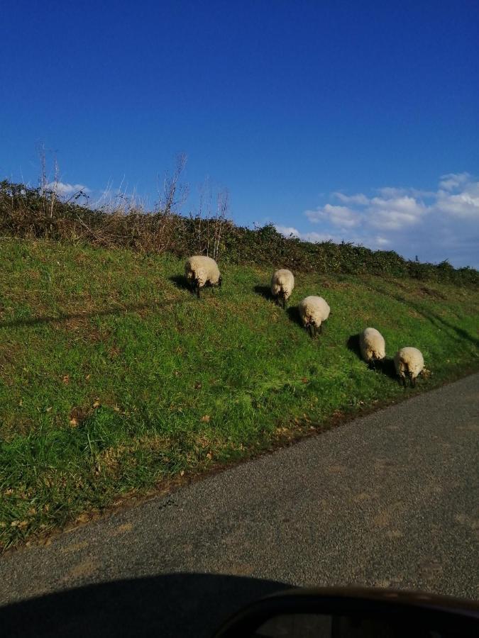 Au Repos Du Verger Couvrelles Esterno foto